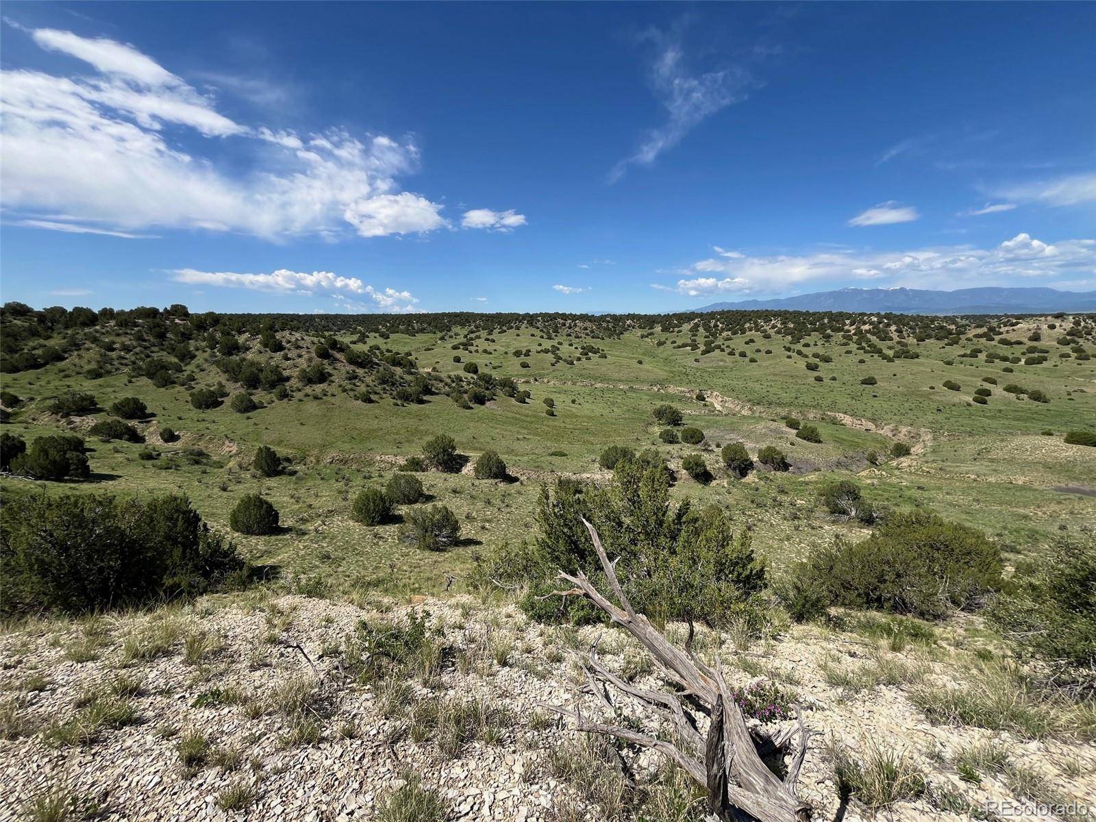 Railroad Springs RD, Pueblo, CO 81004