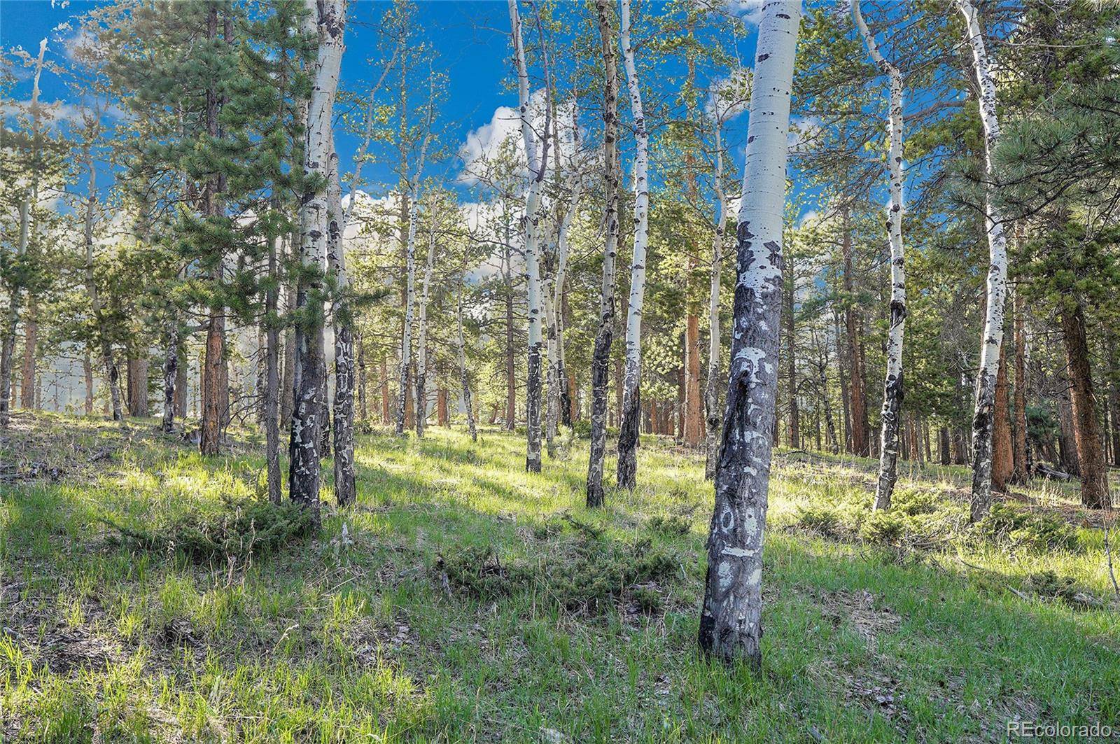 Molly Dr, Lot #3, Conifer, CO 80433
