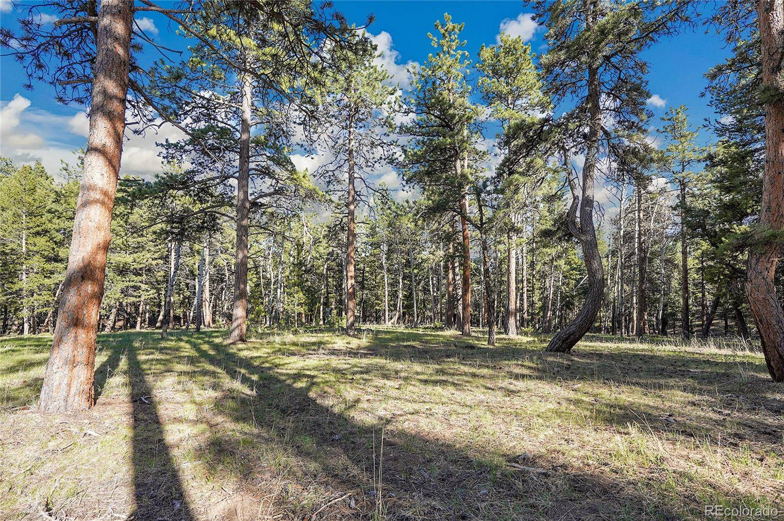 Molly Dr, Lot #3, Conifer, CO 80433