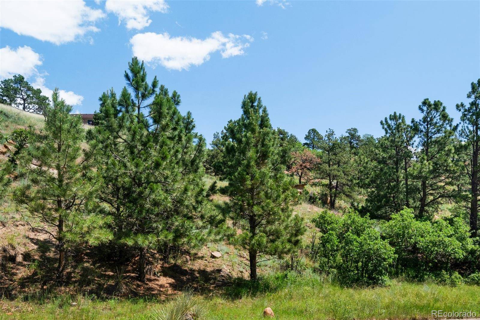 7137 Oak Valley DR, Colorado Springs, CO 80919