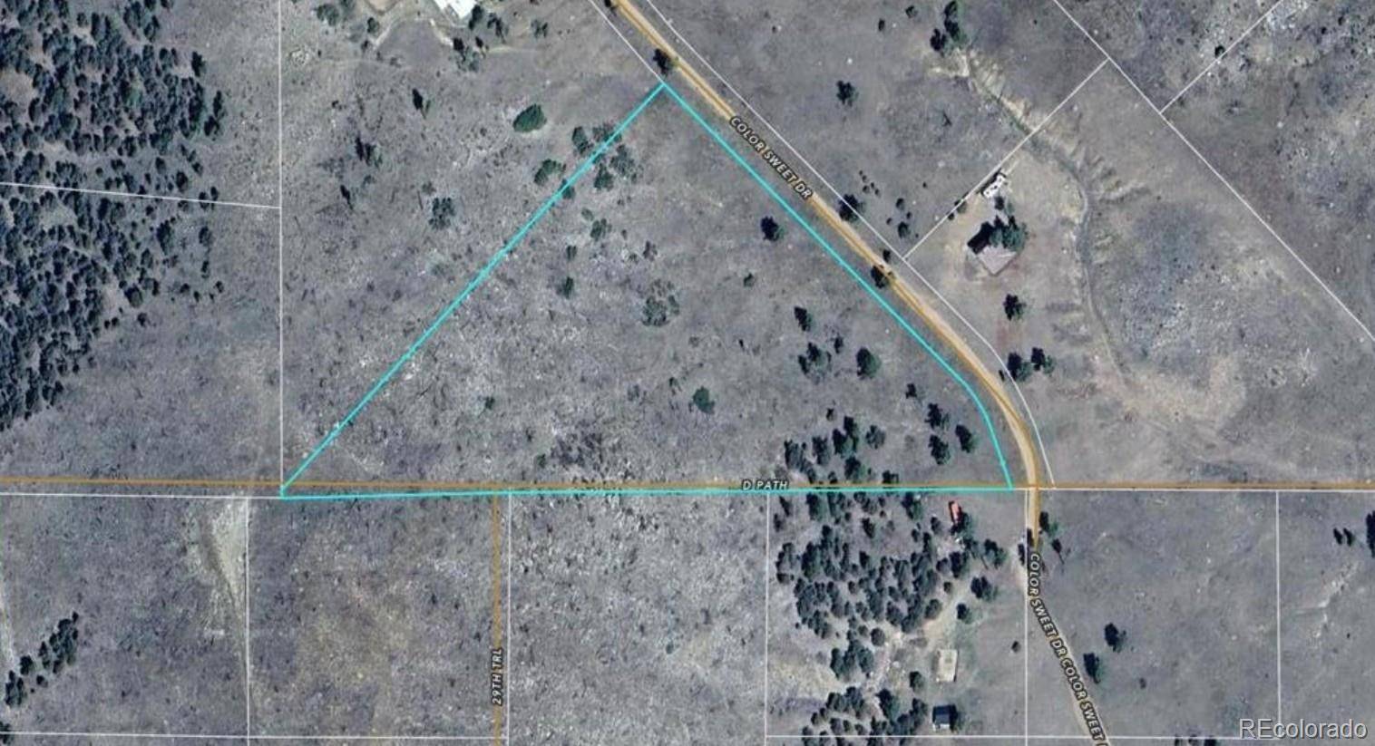 377 Color Sweet DR, Cotopaxi, CO 81223