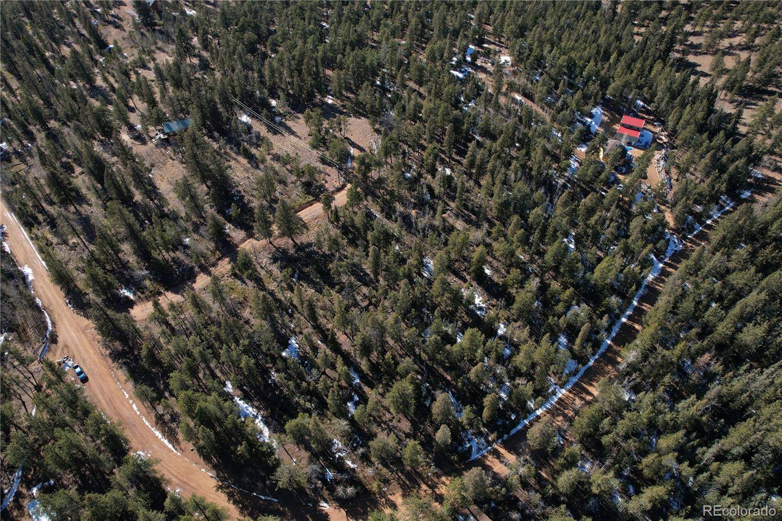 927 Forest DR, Bailey, CO 80421