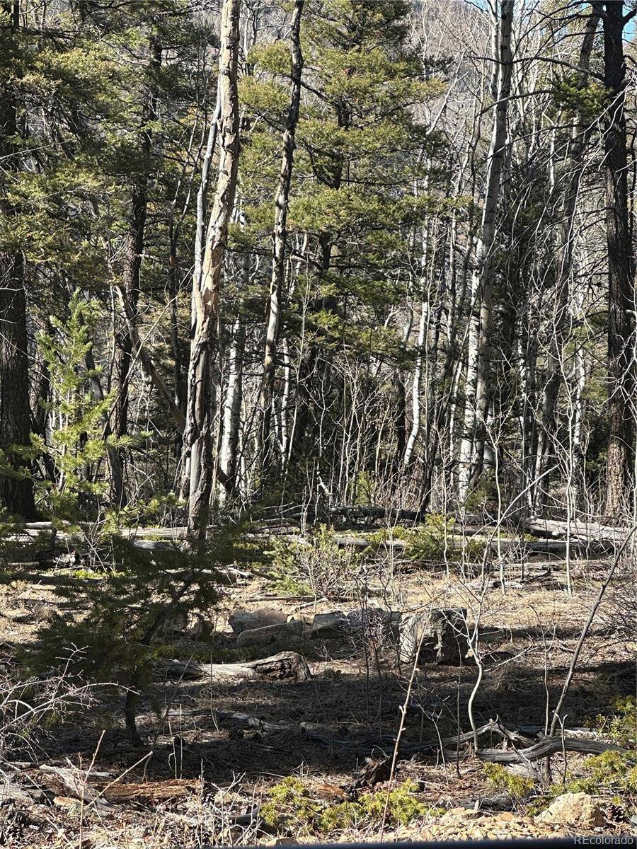 Lot 6742 Starkweather RD, San Luis, CO 81152