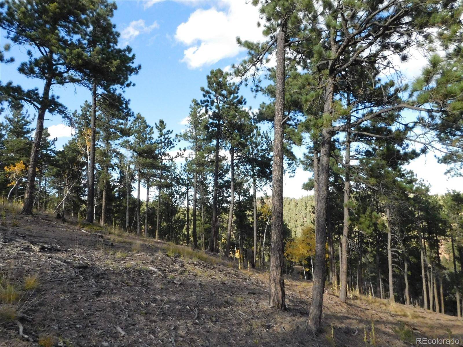 13910 Boulder LN, Larkspur, CO 80118