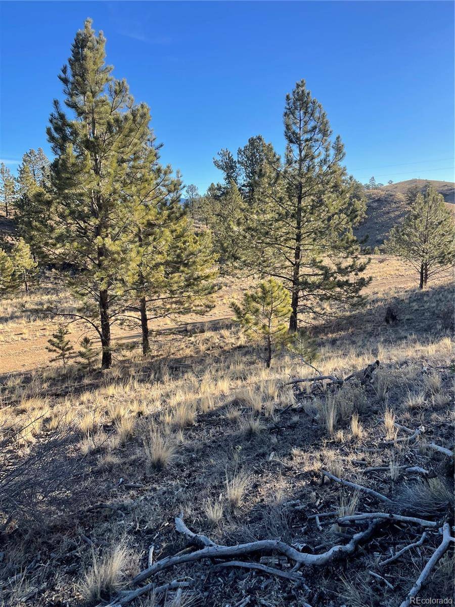 00 Tarryall RD, Hartsel, CO 80449