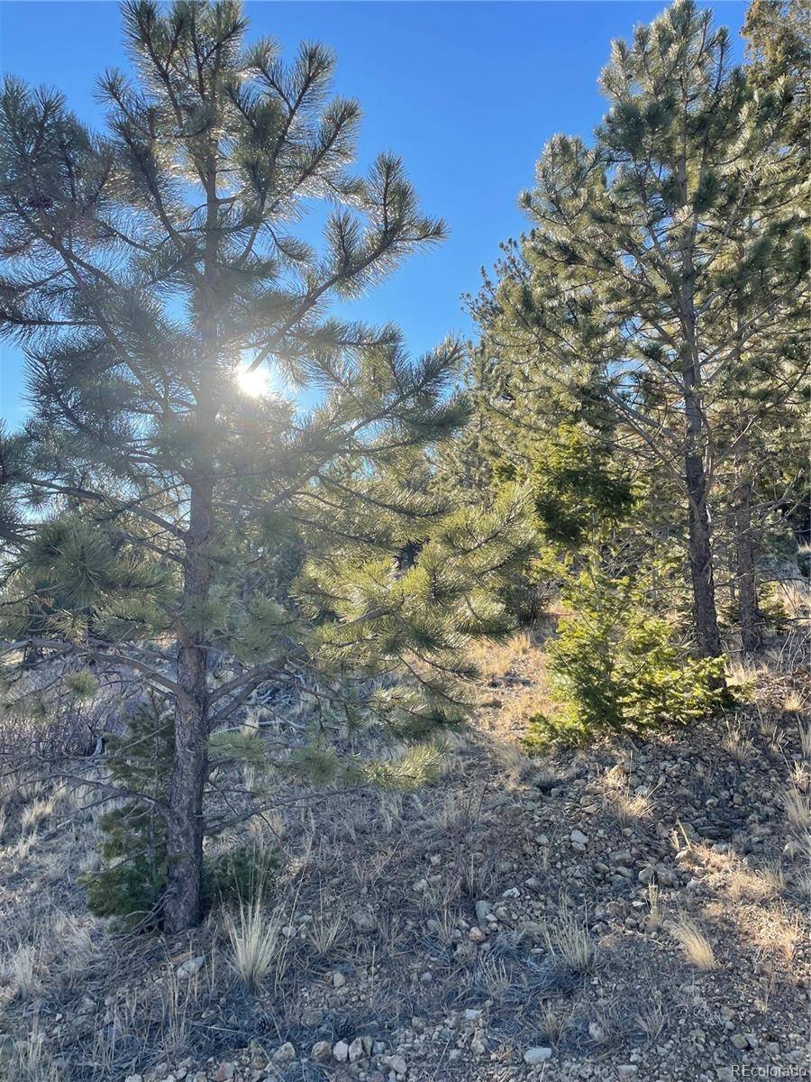 00 Tarryall RD, Hartsel, CO 80449