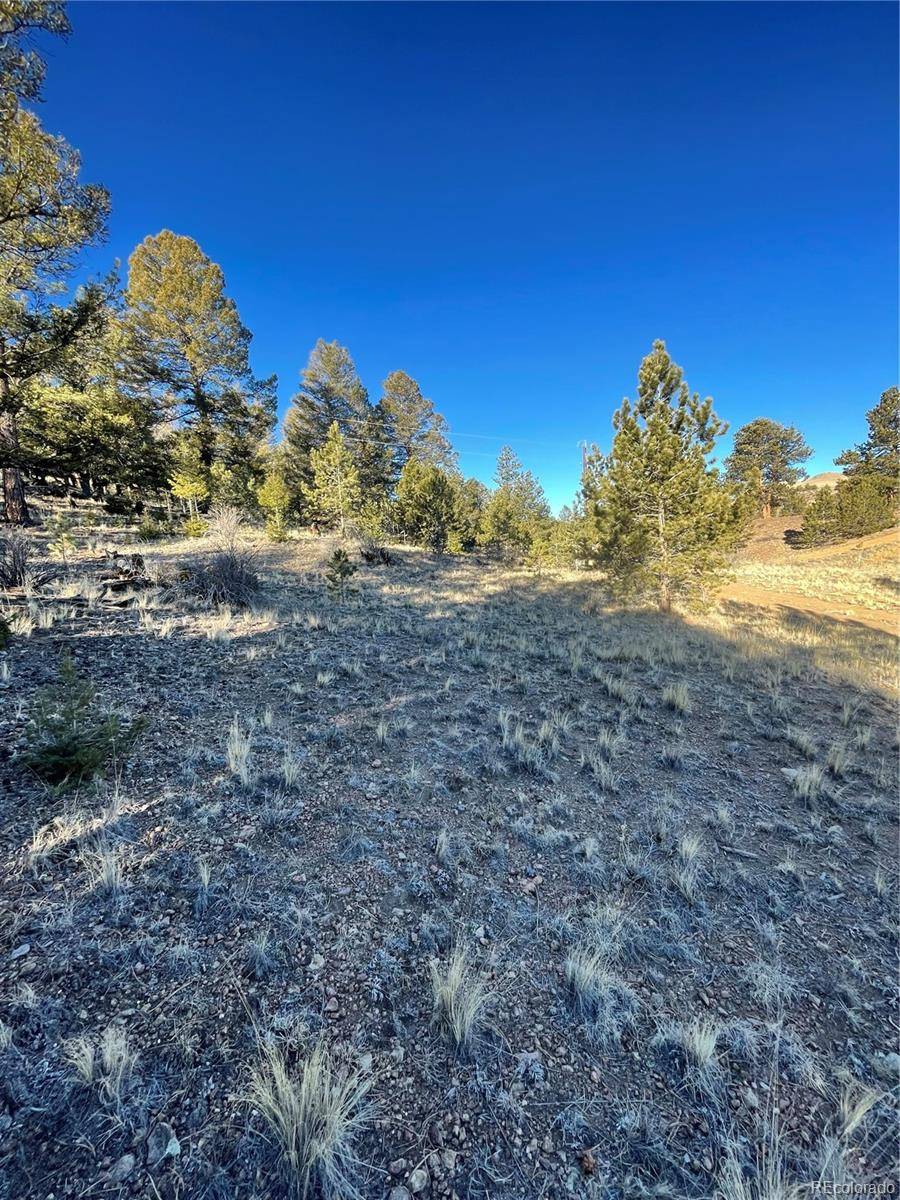 00 Tarryall RD, Hartsel, CO 80449