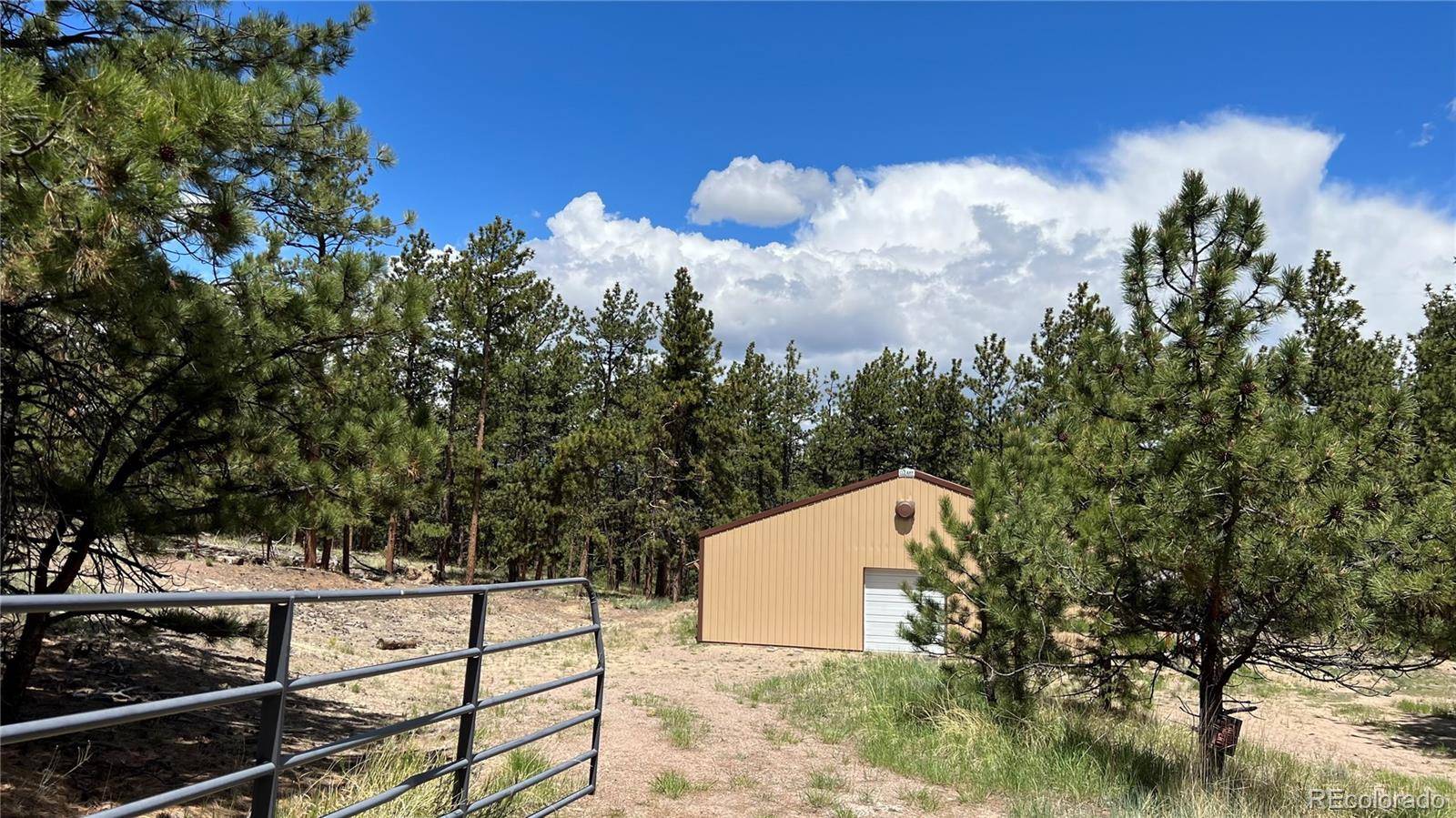 207 Little Bear DR, Westcliffe, CO 81252