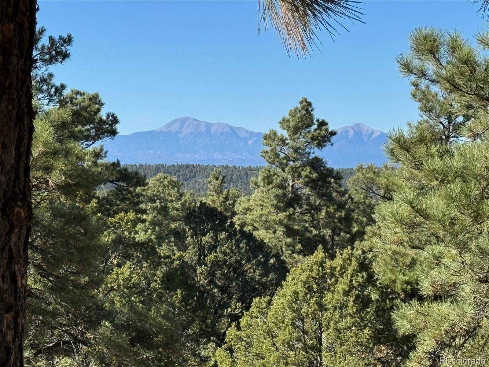 33250 Fox Trail, Trinidad, CO 81082