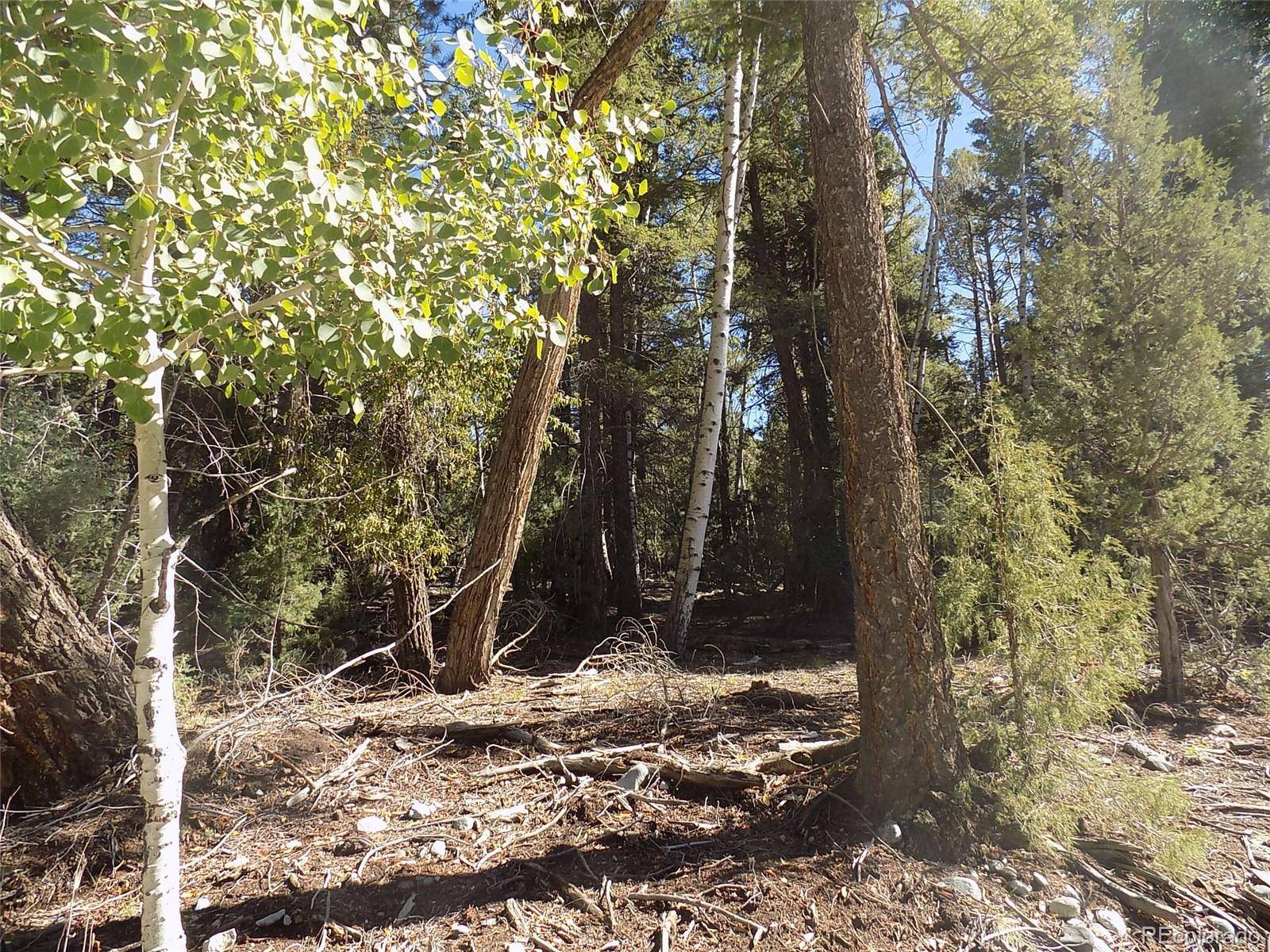 Zapata CT, Mosca, CO 81146