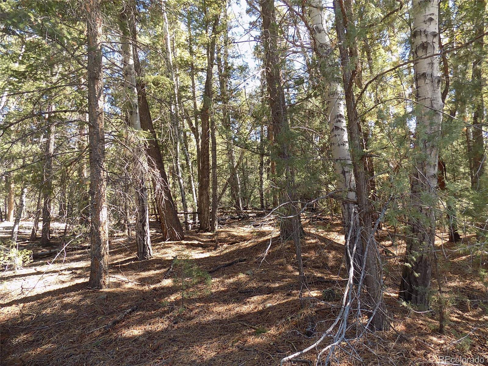 Zapata CT, Mosca, CO 81146
