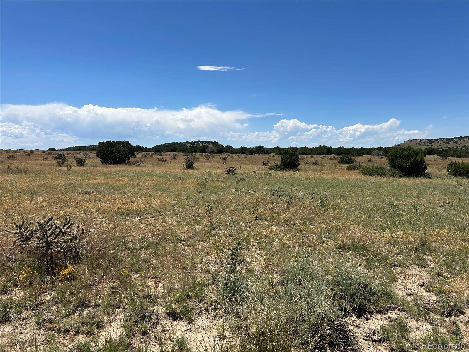 Lot 17 Longhorn Ranch, Model, CO 81059