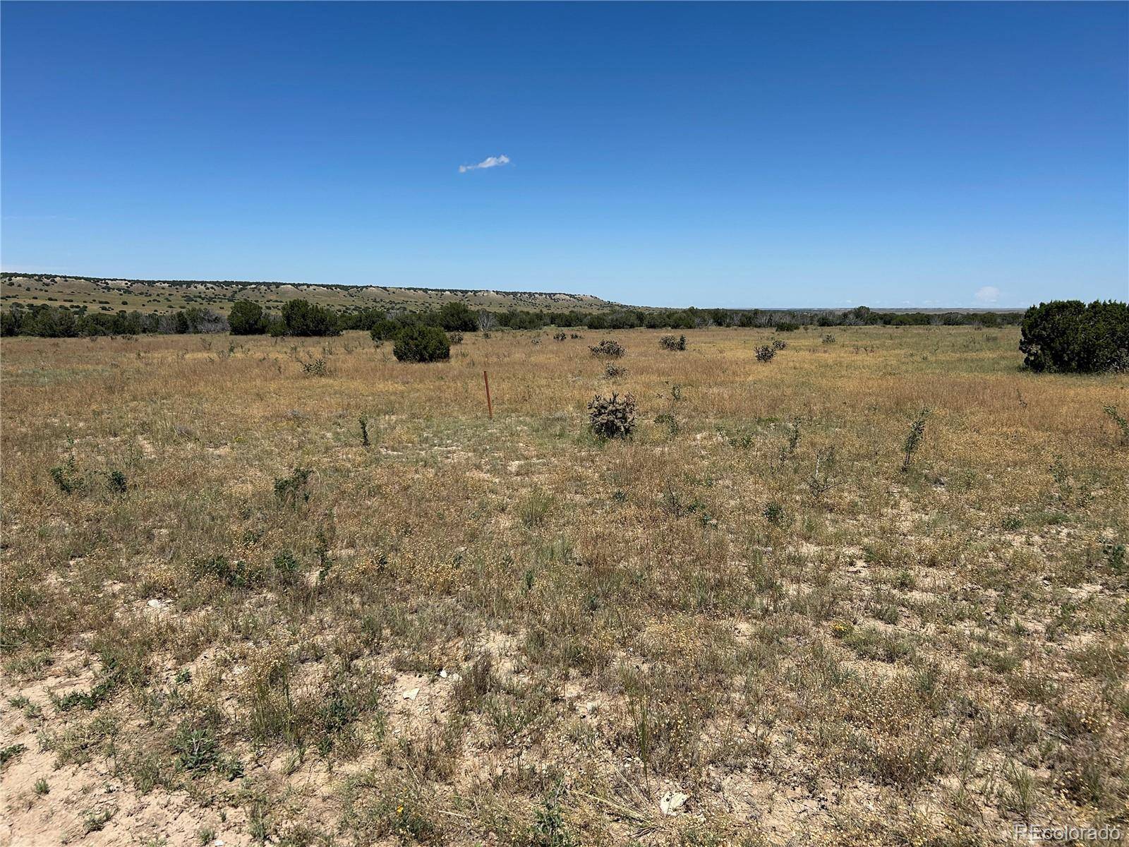 Lot 17 Longhorn Ranch, Model, CO 81059