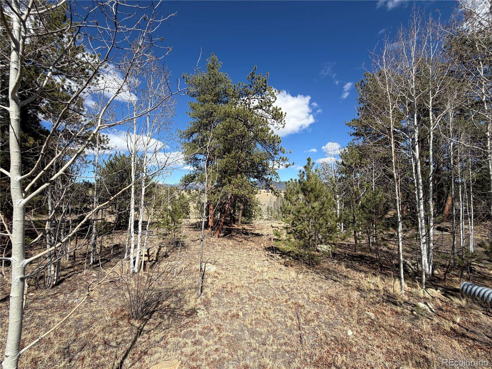 239 Shenandoah PATH, Hartsel, CO 80449