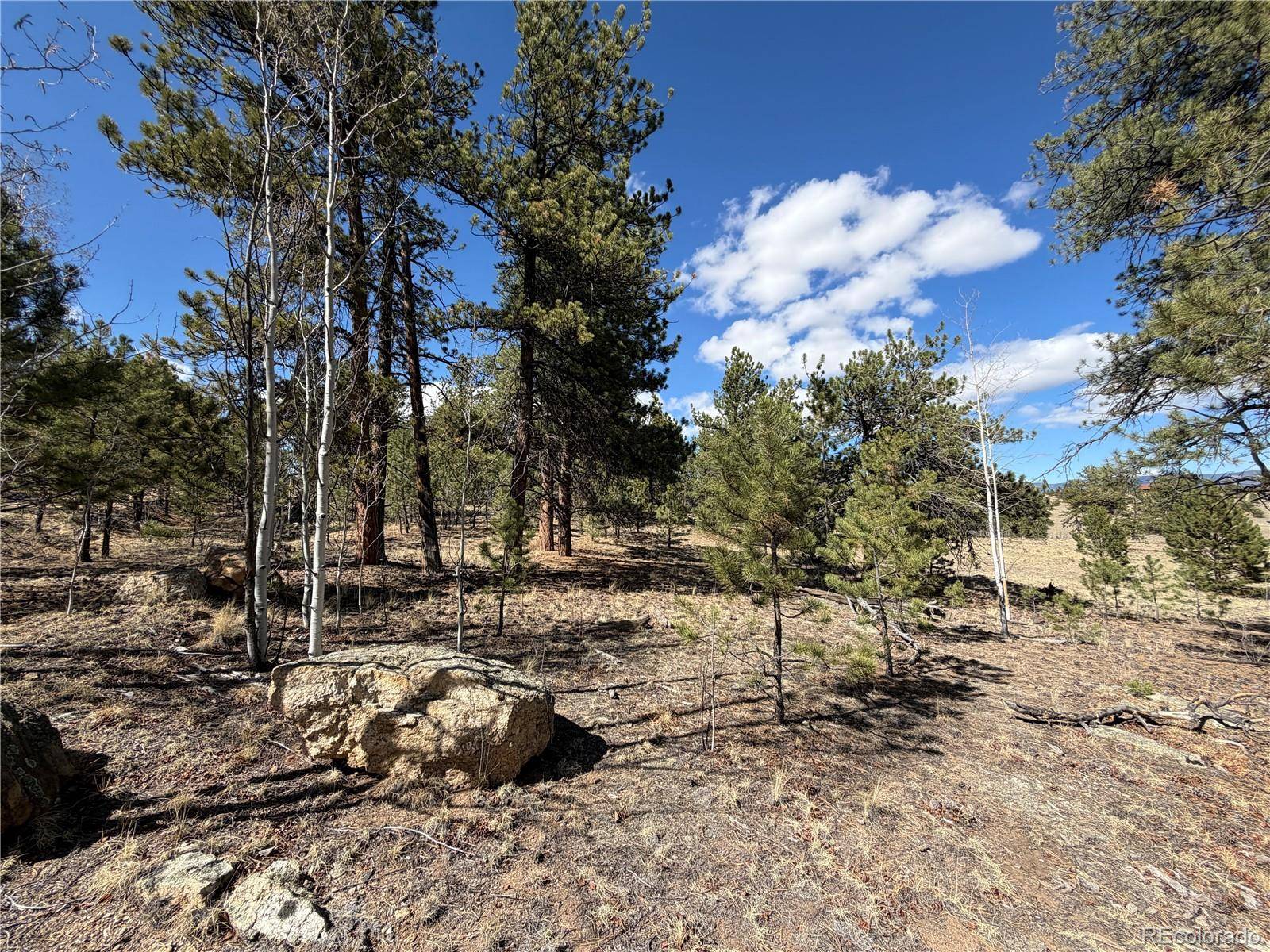 239 Shenandoah PATH, Hartsel, CO 80449