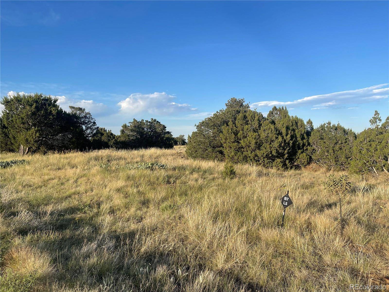 Lot 10 Blk7 Orlando's WAY, Walsenburg, CO 81089