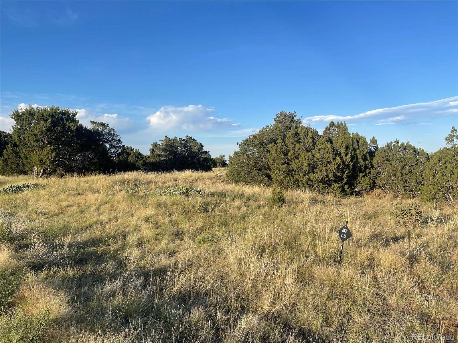 Lot 10 Blk7 Orlando's WAY, Walsenburg, CO 81089