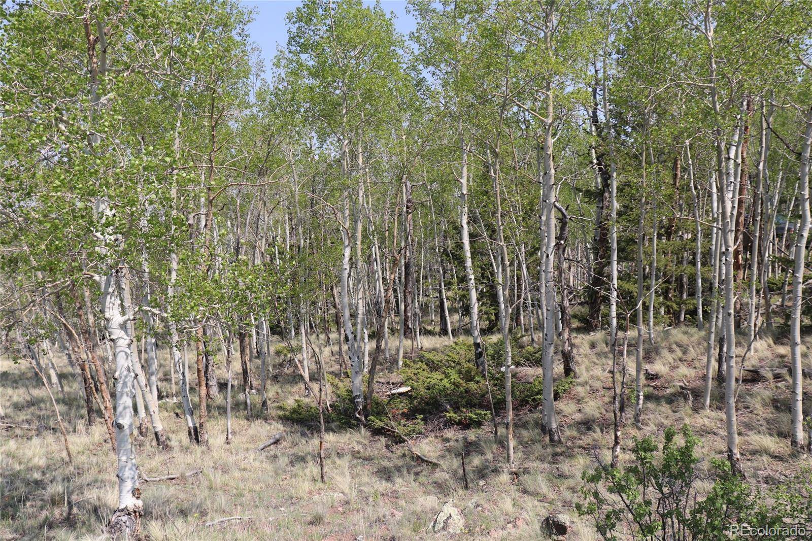 687 Corral RD, Hartsel, CO 80449