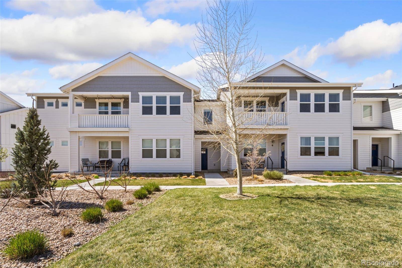 1805 Bounty DR #3, Windsor, CO 80550