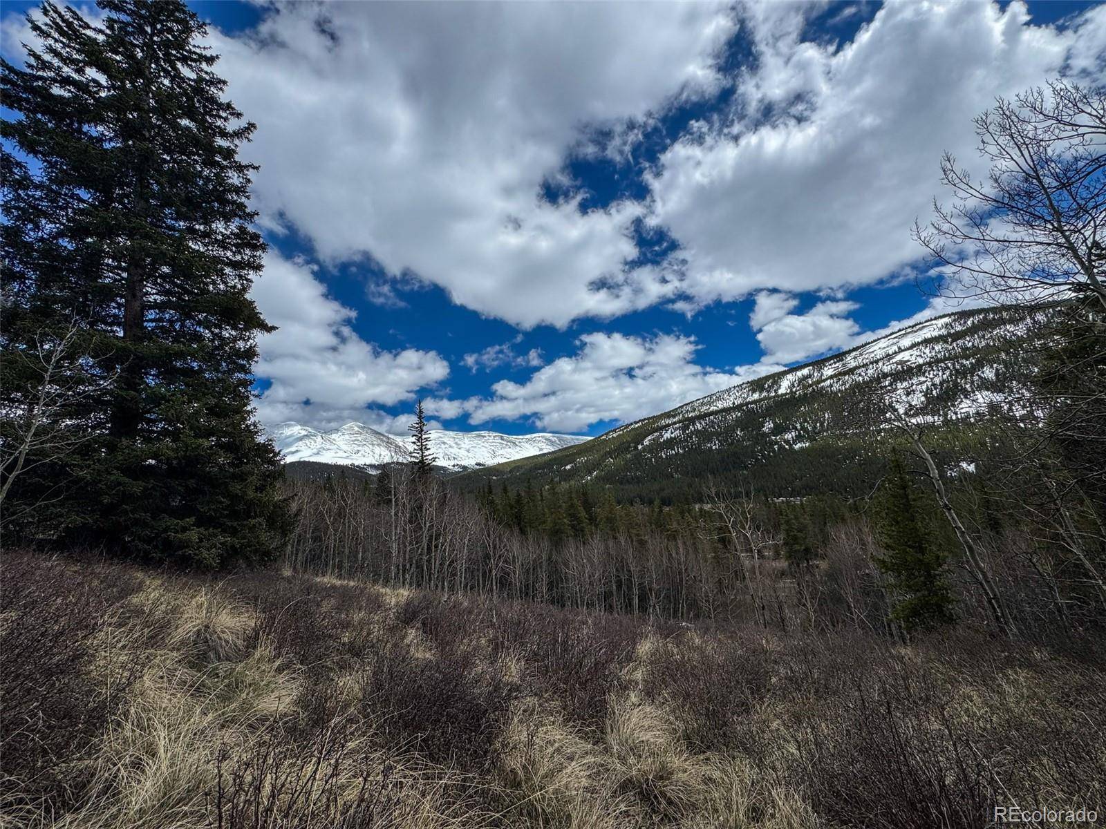 Buckeye Gulch Road, Leadville, CO 80461