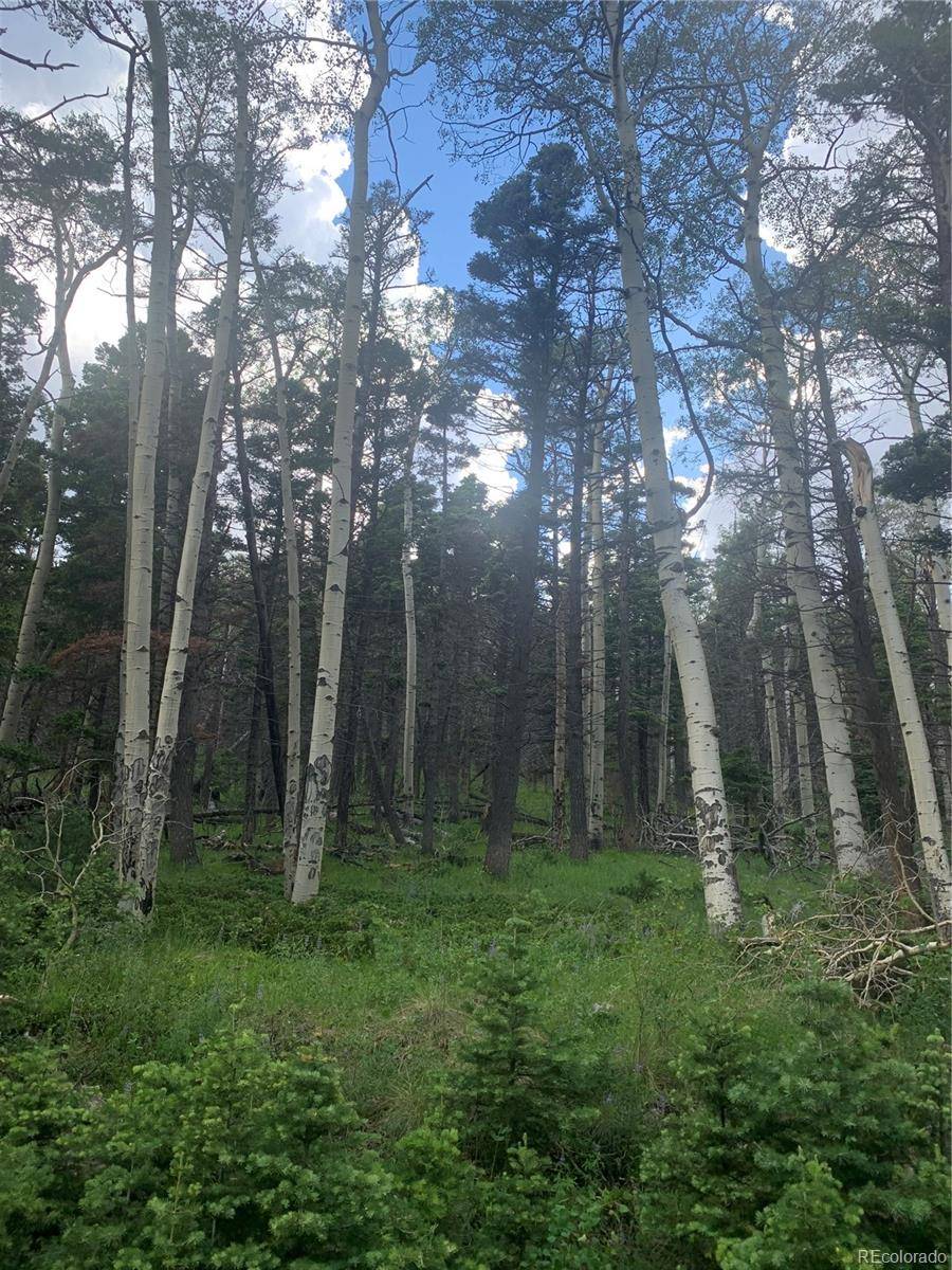 2956 Kemper LOOP, Fort Garland, CO 81133