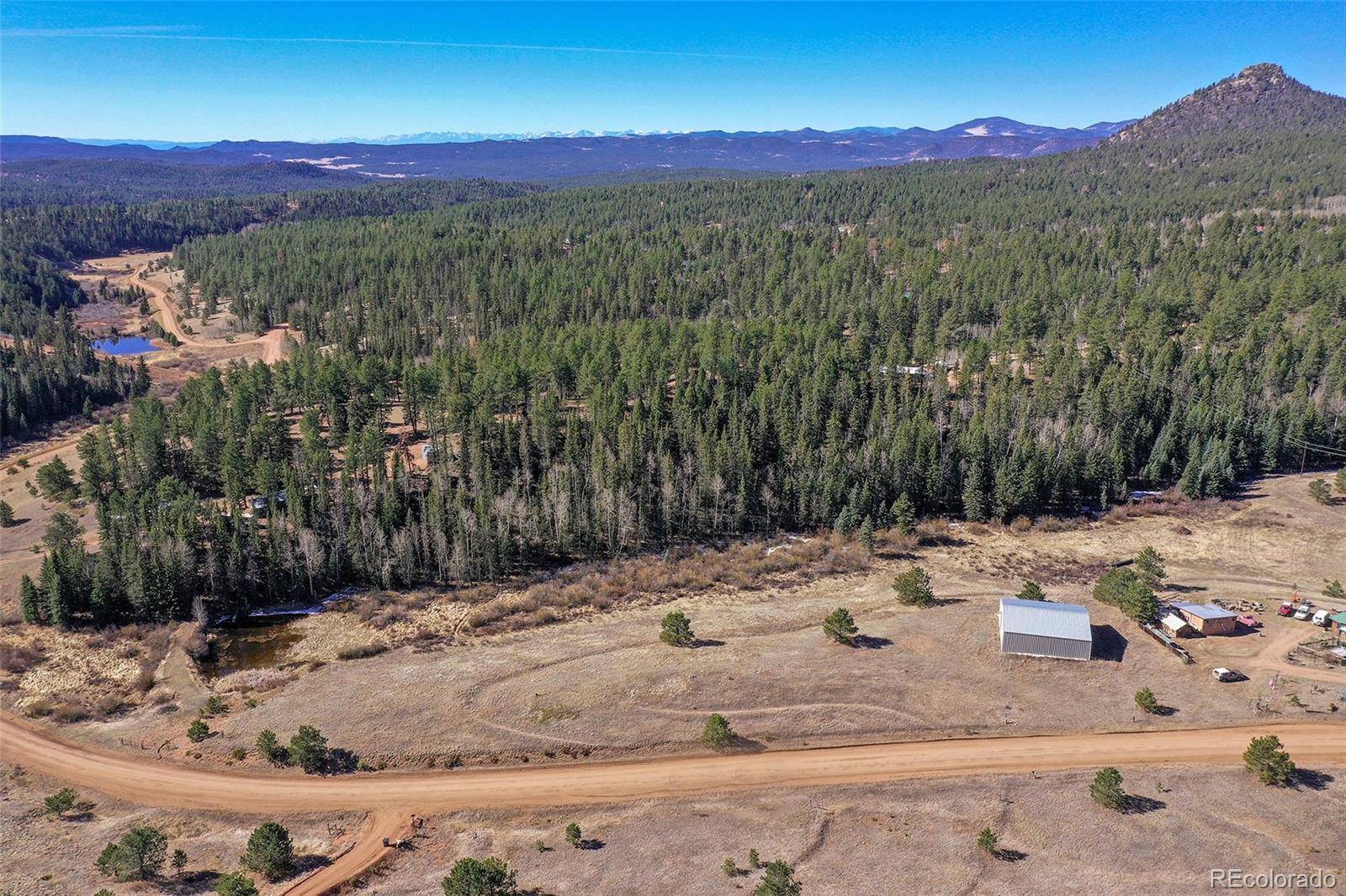 169 Saddleback Creek DR, Florissant, CO 80816