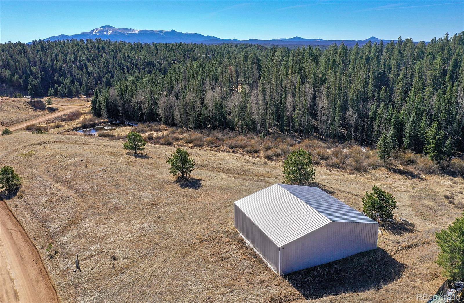 169 Saddleback Creek DR, Florissant, CO 80816