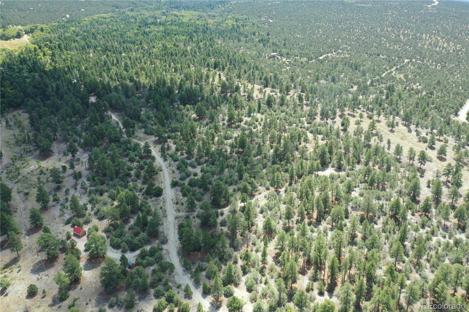 Pawnee PL, Mosca, CO 81146