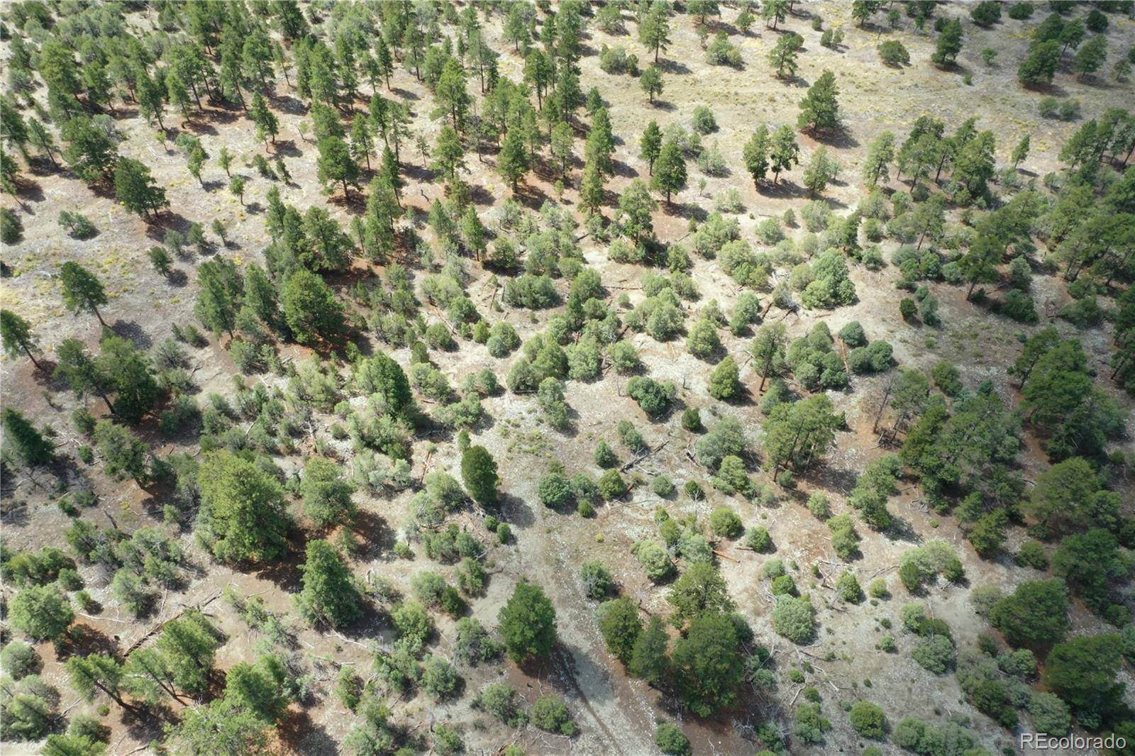 Pawnee PL, Mosca, CO 81146
