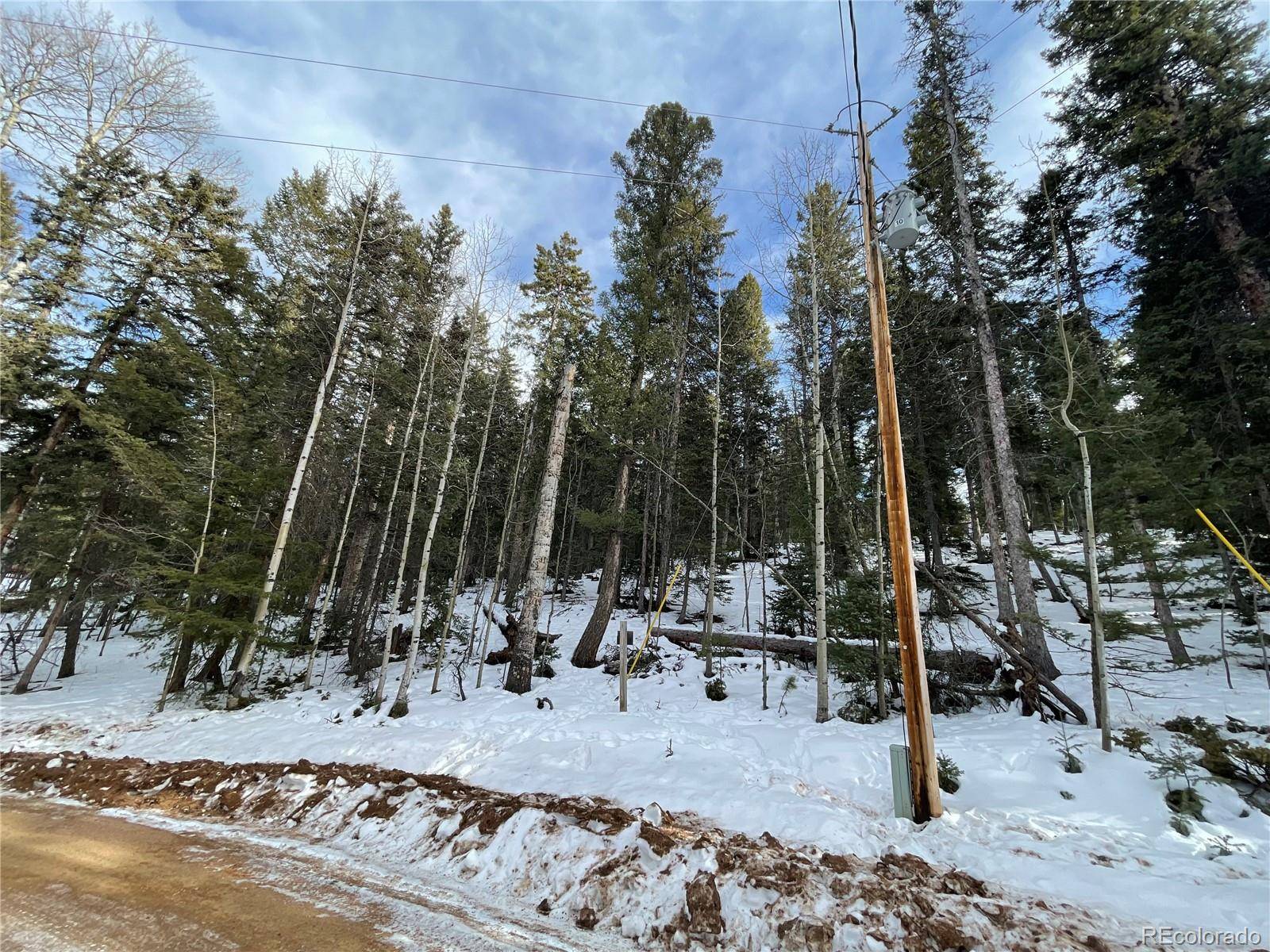 222 Banner TRL, Florissant, CO 80816