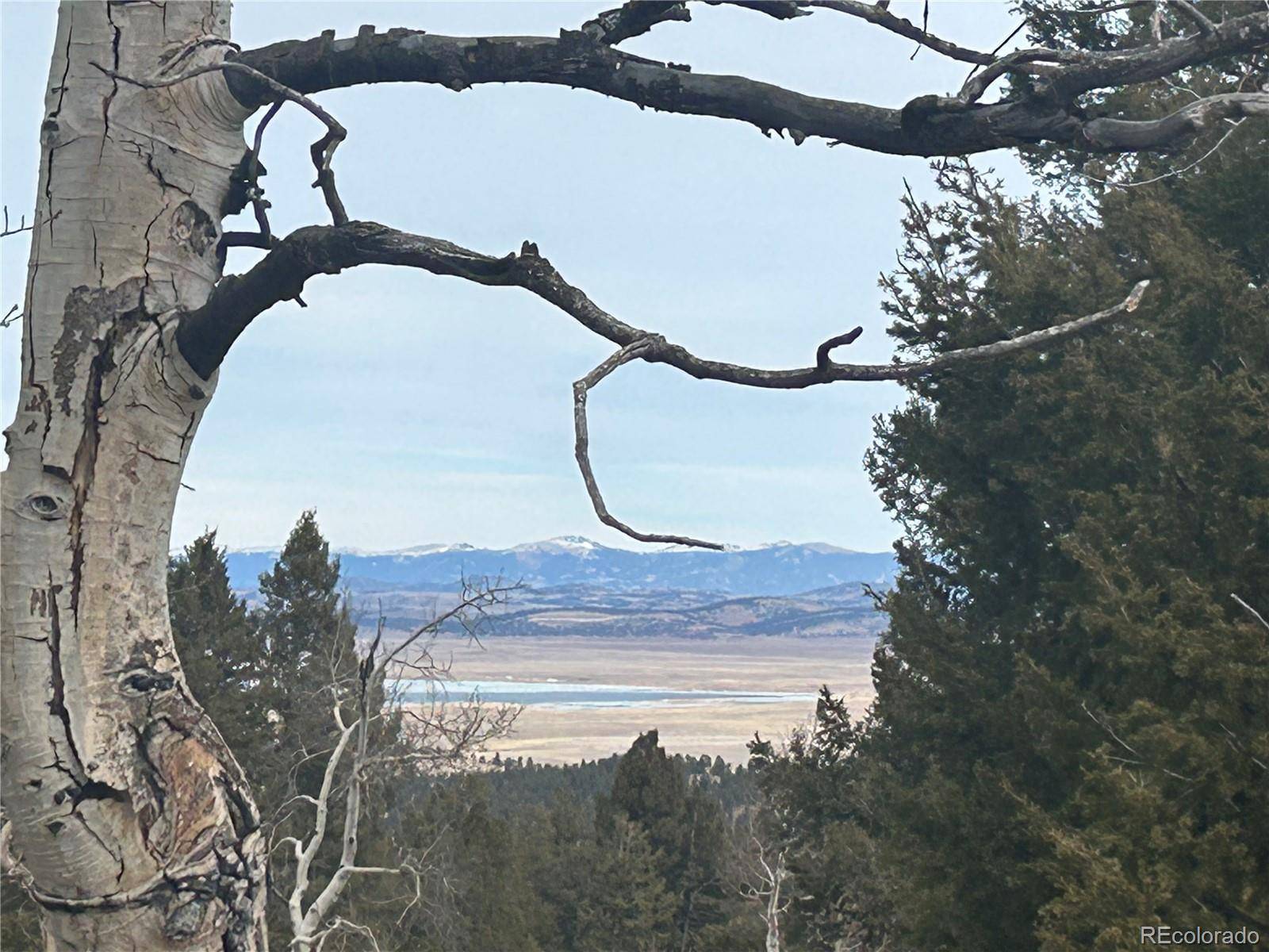 1421 Pitchfork RD, Hartsel, CO 80449