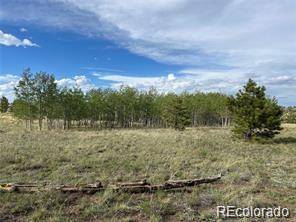 1599 Campfire RD, Hartsel, CO 80449