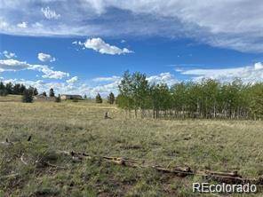 1599 Campfire RD, Hartsel, CO 80449