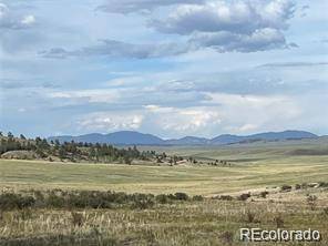 1599 Campfire RD, Hartsel, CO 80449