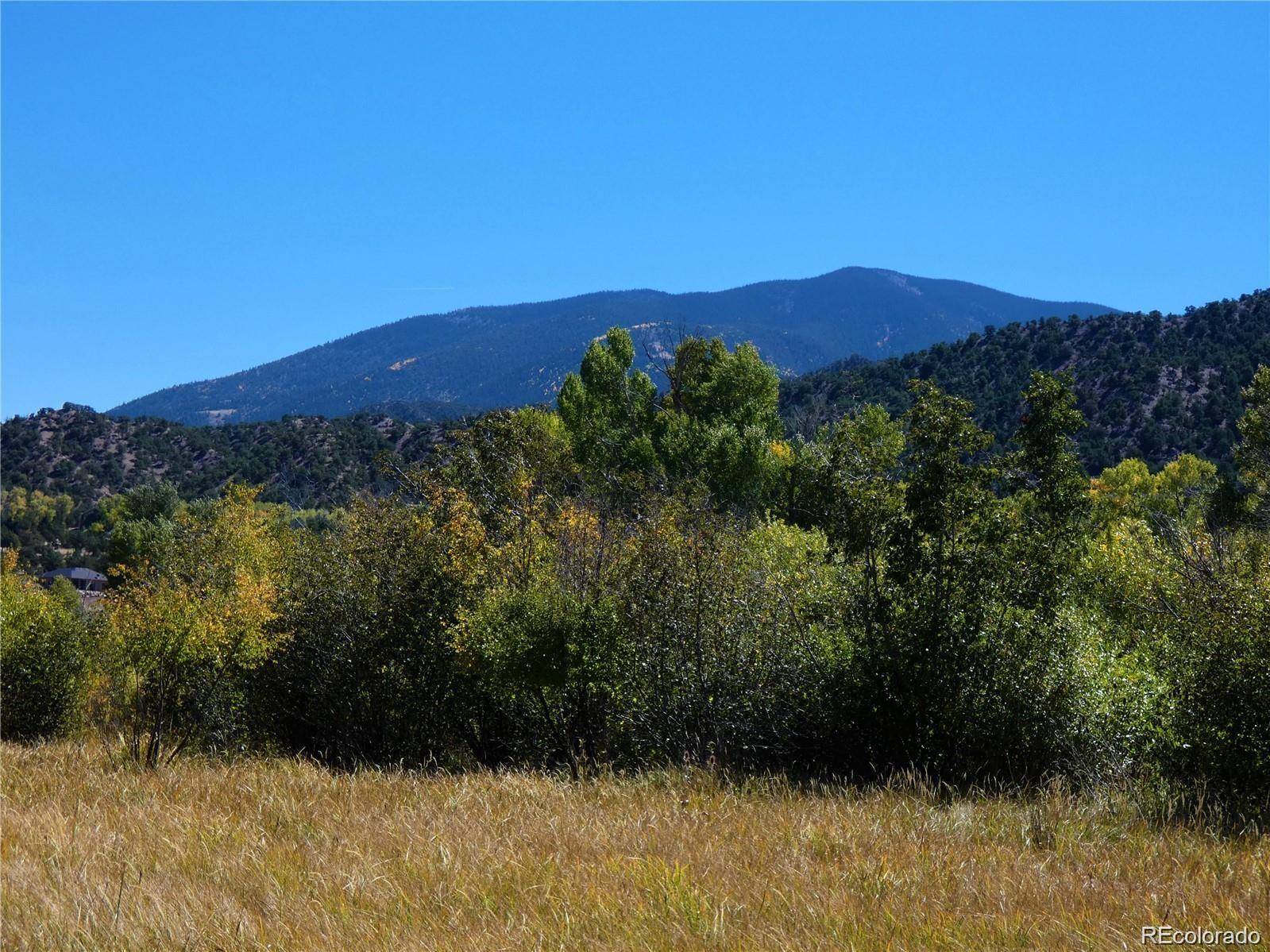 1109 E Ouray AVE, Poncha Springs, CO 81242