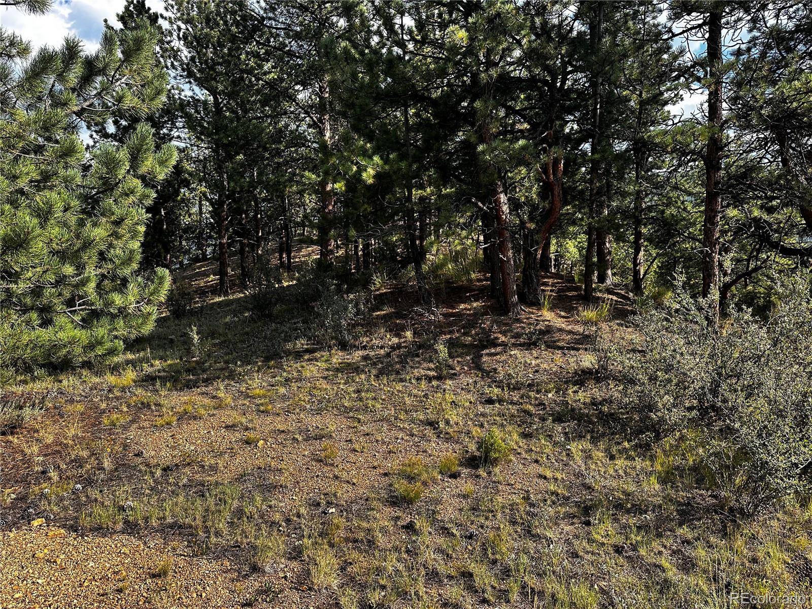 Lot 1 Eagle Mining Claim, Dumont, CO 80436