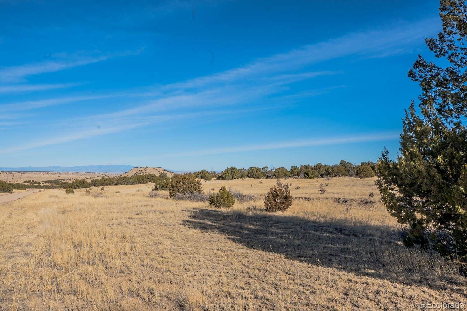 24 Hatchet Ranch, Colorado City, CO 81019