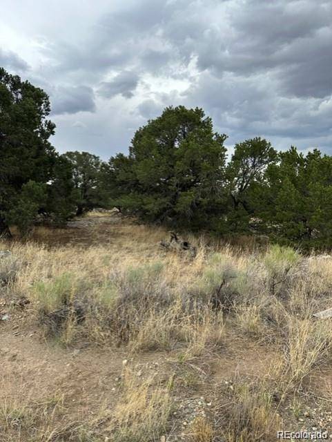 110 Indian Hill RD, Mosca, CO 81146
