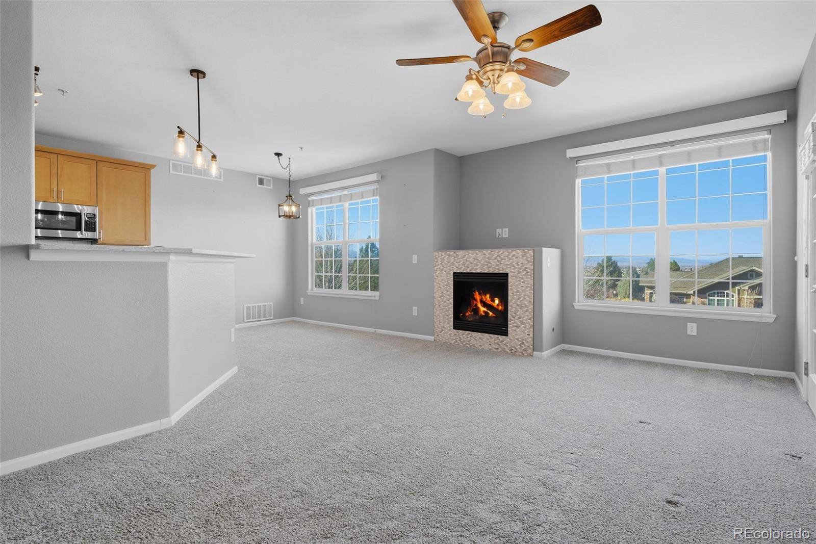 2800 Blue Sky CIR #2-208, Erie, CO 80516