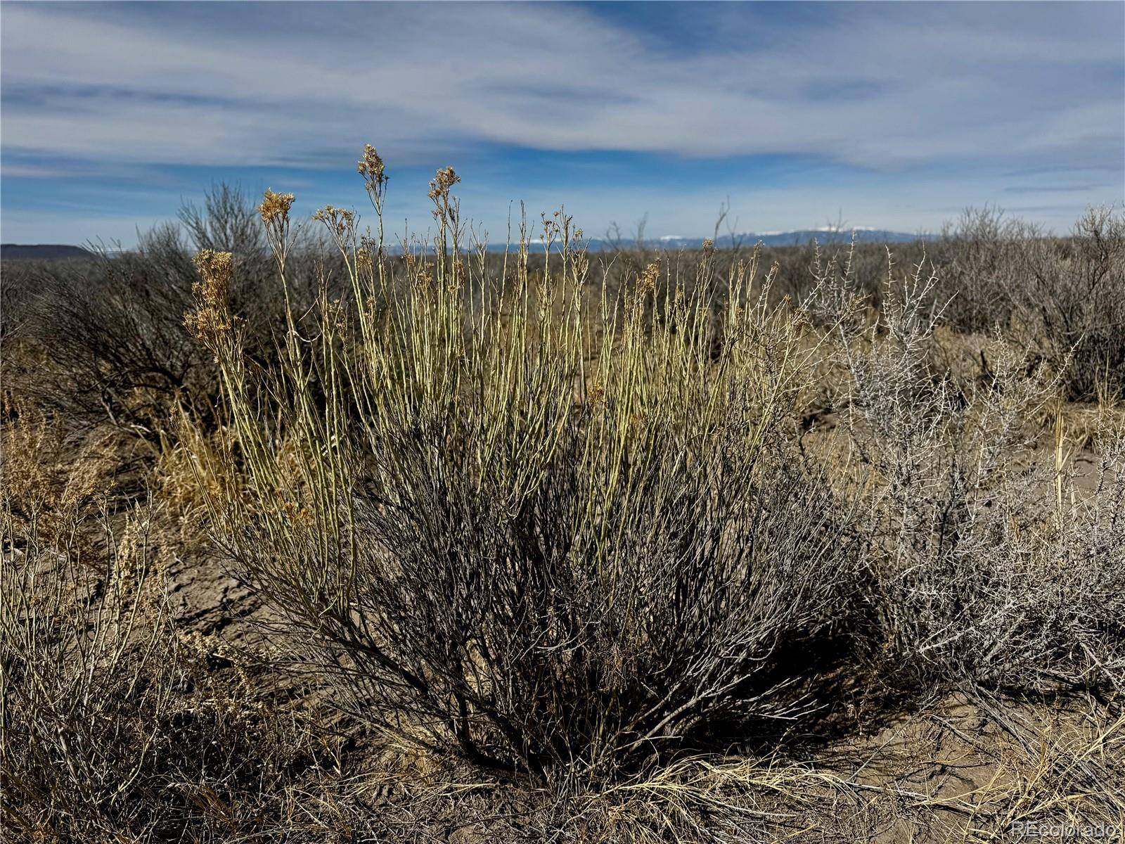 Lot 39 Big Bend RD, Blanca, CO 81123