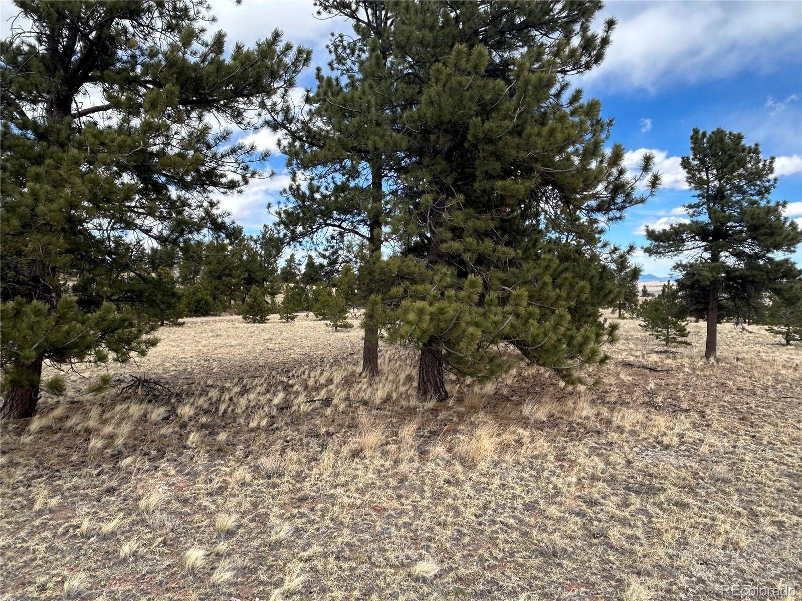 304 Brahma CIR, Hartsel, CO 80449