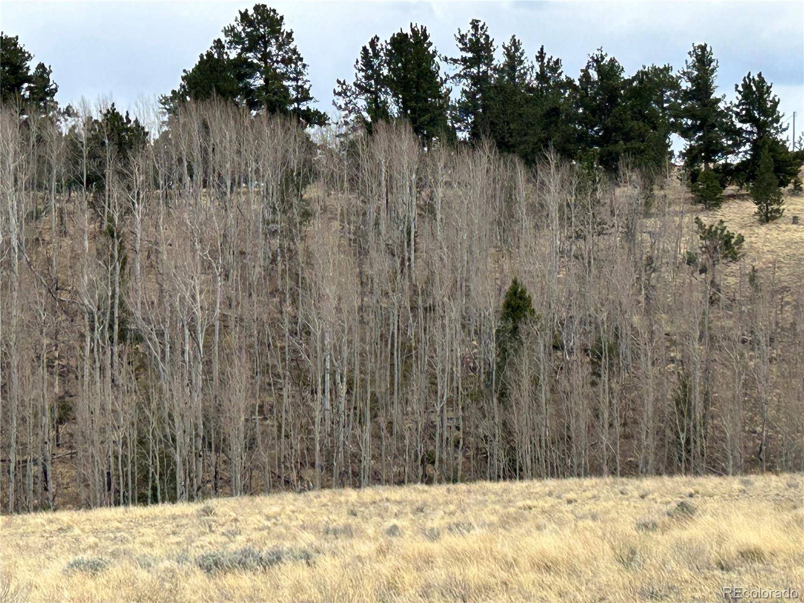 304 Brahma CIR, Hartsel, CO 80449