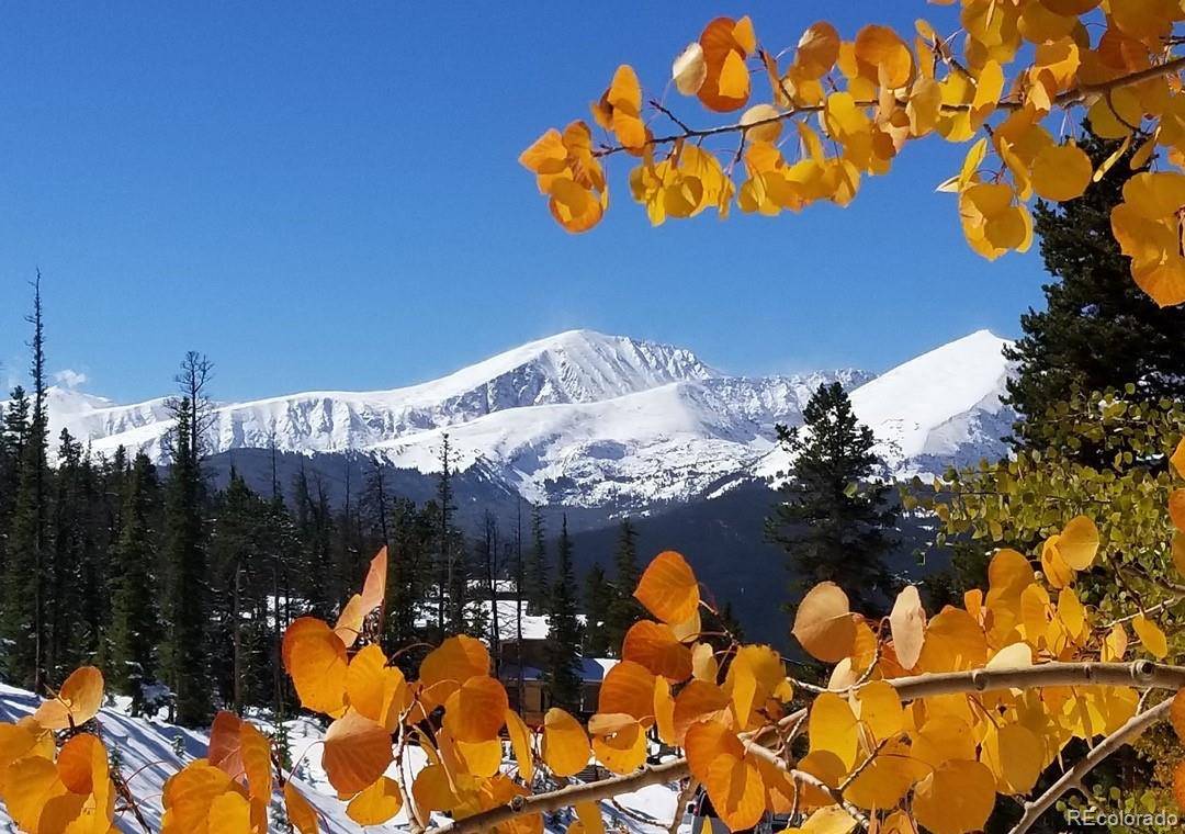 305 S Park #402 AVE #402, Breckenridge, CO 80424