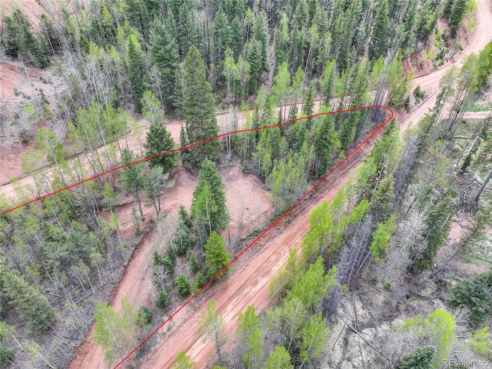 416 Willow RD, Divide, CO 80814