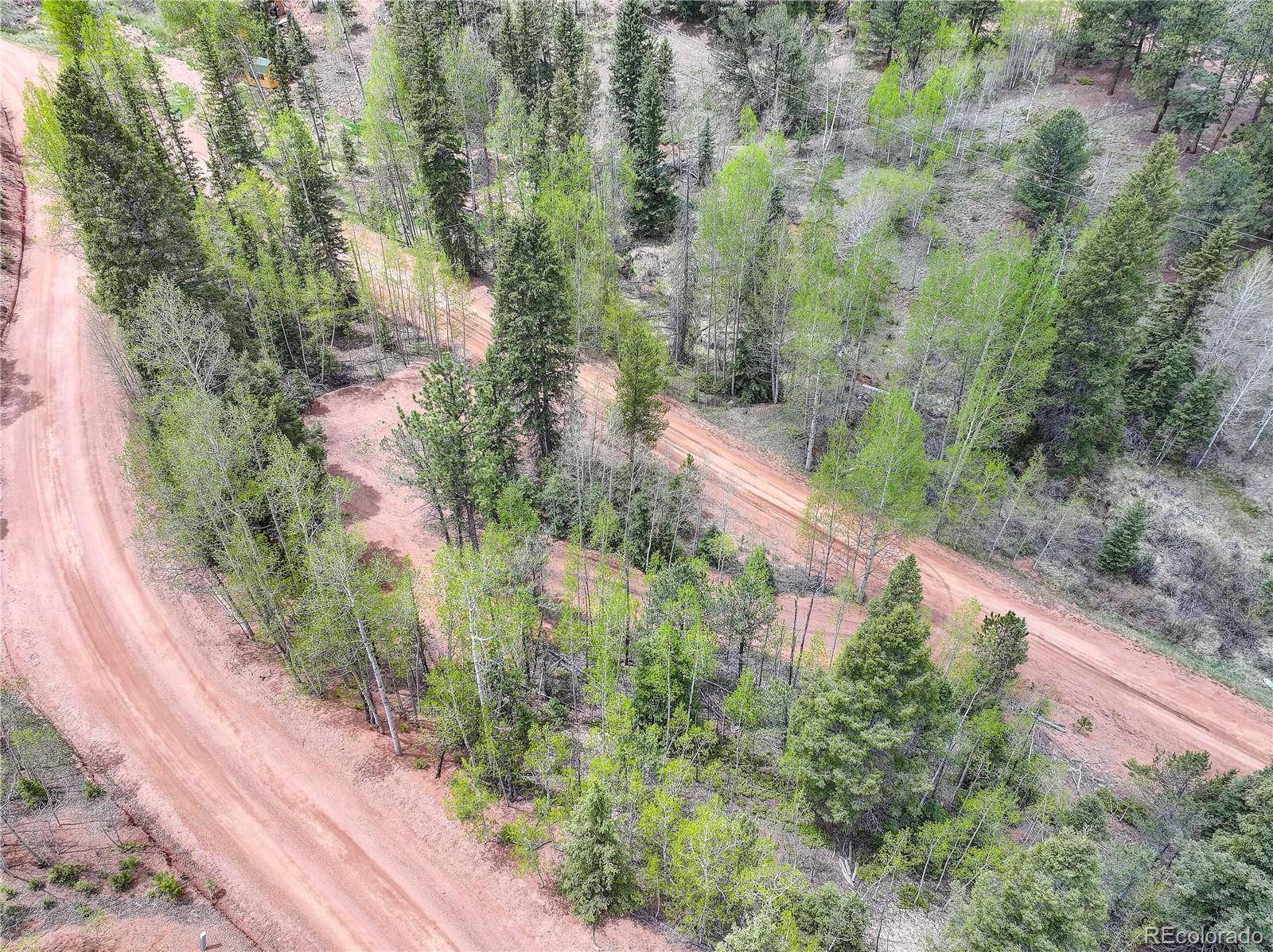 416 Willow RD, Divide, CO 80814