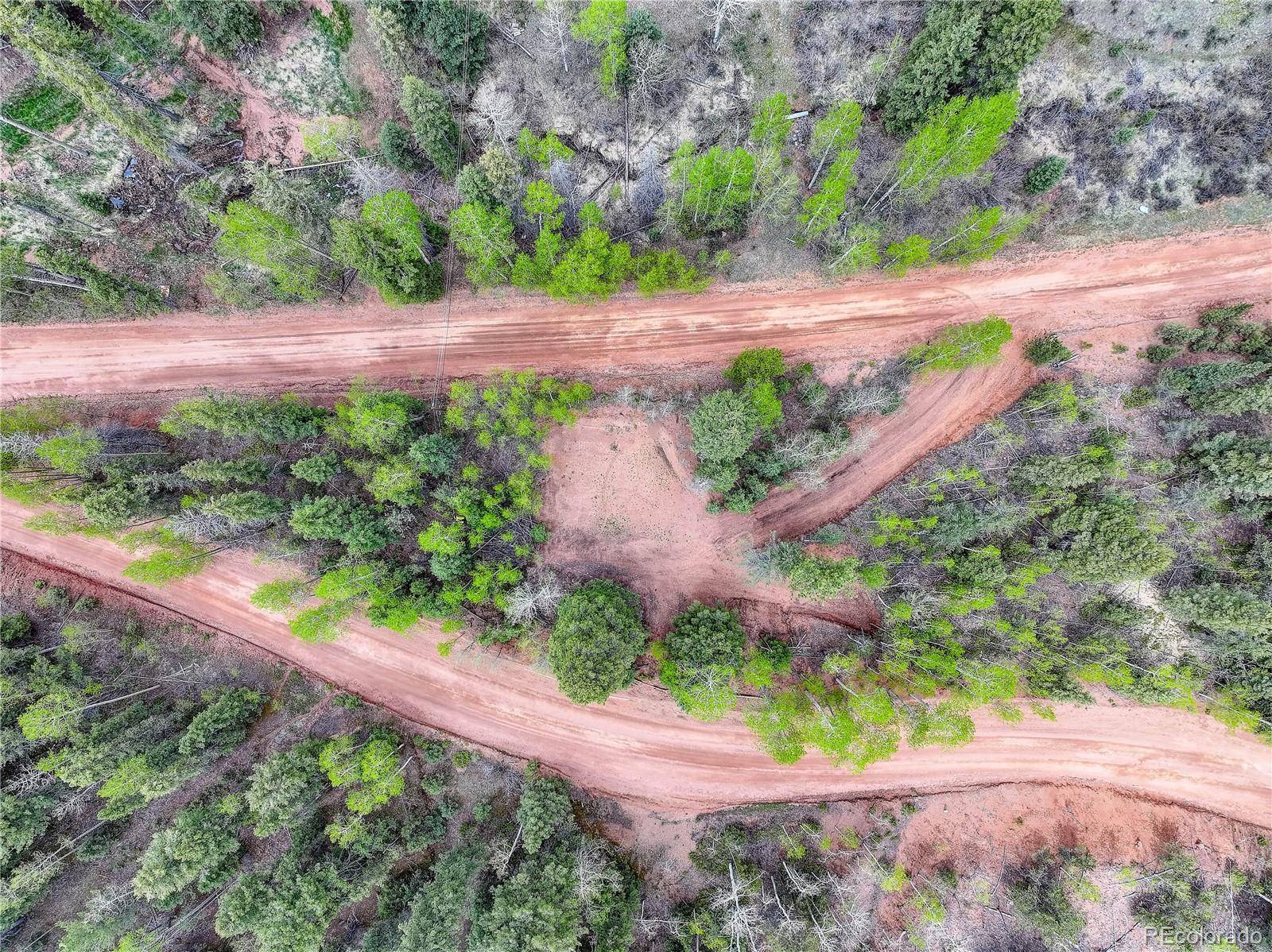 416 Willow RD, Divide, CO 80814