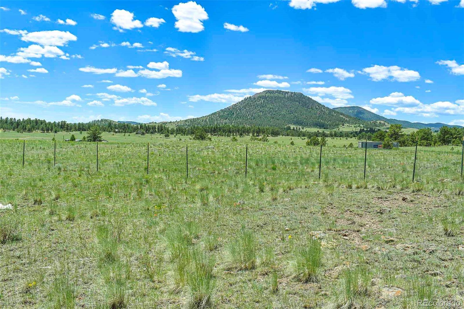56 View LN, Guffey, CO 80820