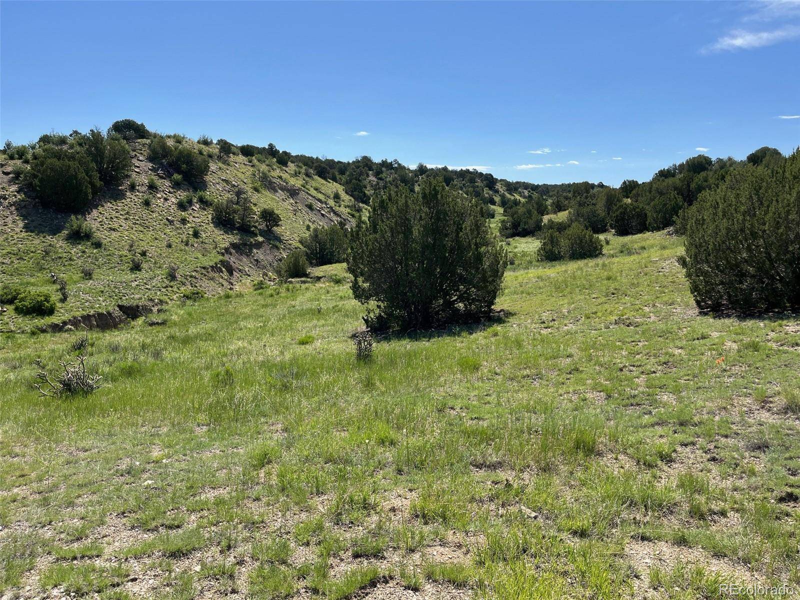 00 Railroad Springs RD, Pueblo, CO 81004