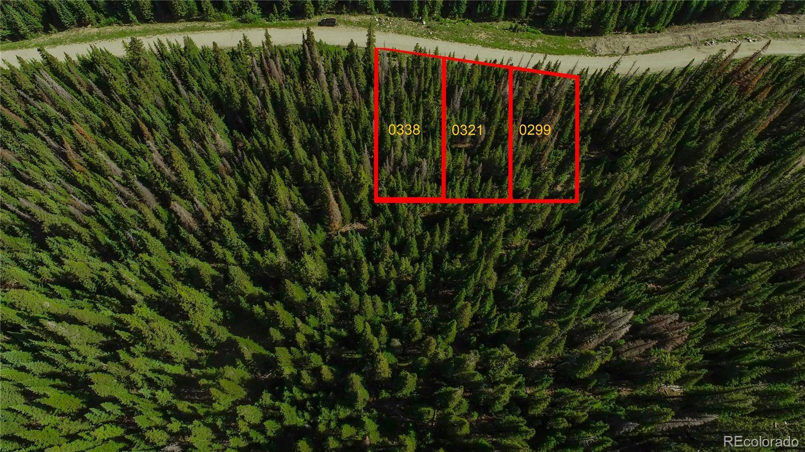 339 CR 805, Breckenridge, CO 80424