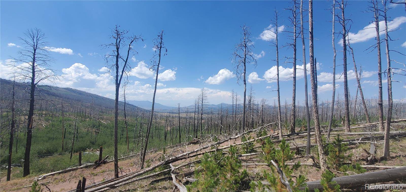 Lot's 854,855 Slaoui PL, Fort Garland, CO 81133